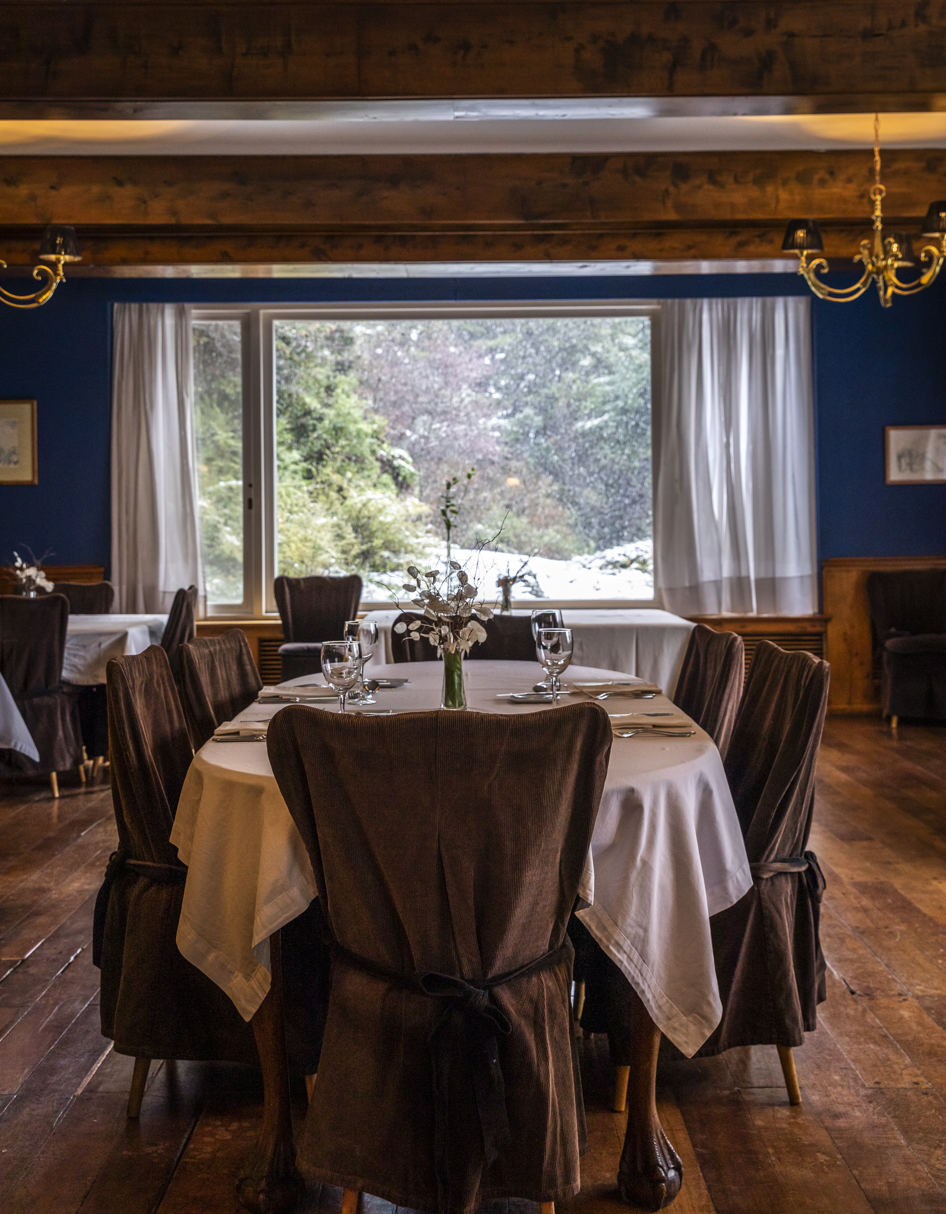 Comer en Bariloche ambiente bosque lago - Restaurante Del Bosque del hotel Tunquelén - Villa Llao Llao